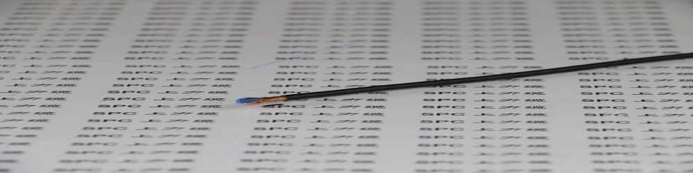 AESSX-BS汽车用屏蔽传输耐热电缆 AESSX-BS日标耐热屏蔽电缆