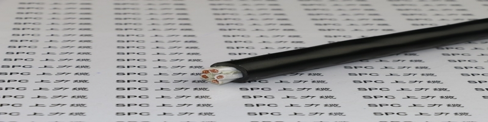 ​DJVPVP2聚氯乙烯绝缘编织组屏蔽铜带绕包总屏蔽聚氯乙烯护套本安计算机电缆 ZR-DJVPVP2本安防爆屏蔽电缆