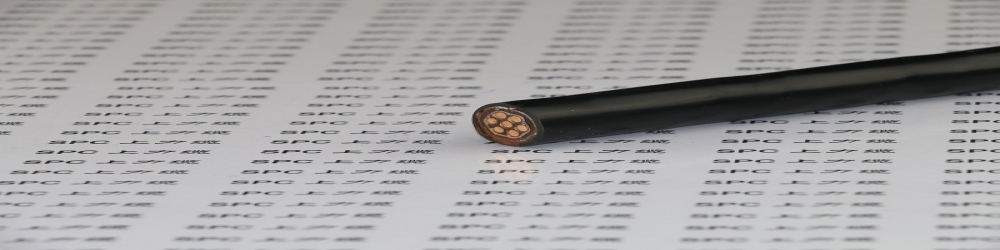 ​DJVPVP22聚氯乙烯绝缘编织组屏蔽编织总屏蔽聚氯乙烯护套钢带铠装计算机电缆 ZR-DJVPVP22阻燃计算电缆