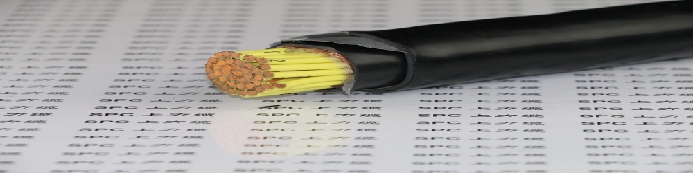 DJFP2VP2-22氟塑料绝缘铜带绕包组屏蔽及总屏蔽聚氯乙烯护套钢带铠装计算机电缆  ZR-DJFP2VP2-22计算机电缆